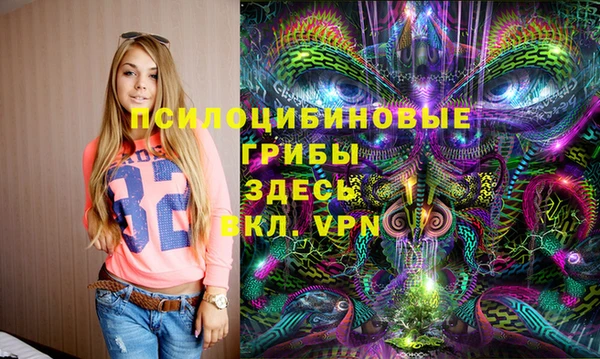 СК Каменск-Шахтинский